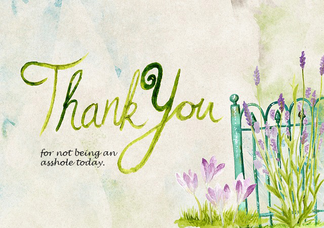 thank-you-944086_640