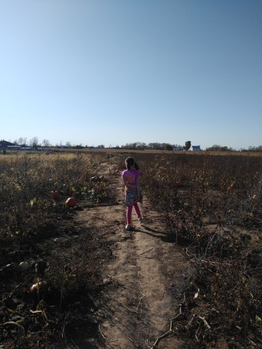 img_20191013_162616992