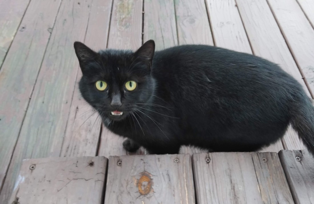 img_20200323_100407095