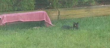 img_20200701_093834796_burst000_cover_top