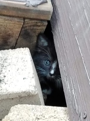 img_20200704_203951947