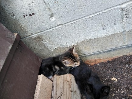 img_20200706_152251920_hdr